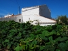 Casa de campo en Menorca