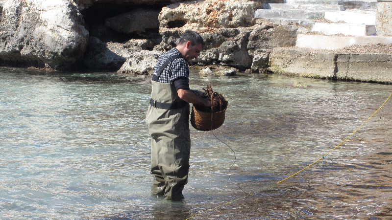 Pesca de puu en Menorca